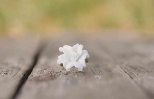 White Lily Flower Adjustable Ring Vintage Style - Dove